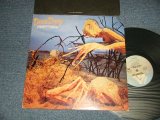 画像: DIXIE DREGS - DRESS OF THE EARTH (Ex++/MINT- CUTOUT for PROMO) / 1980 US AMERICA ORIGINAL "PROMO" Used LP 