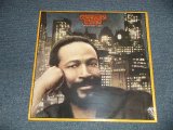 画像: MARVIN GAYE - MIDNIGHT LOVE (Sealed) / US AMERICA REISSUE " BRAND NEW FACTORY SEALED" LP