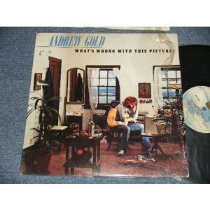 画像: ANDREW GOLD - WHAT'S WRONG WITH THIS PICTURE?  (Ex+++/Ex++ Looks:VG+++)  / 1976  US AMERICA ORIGINAL Used LP 