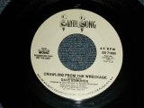 画像: DAVE EDMUNDS - CRAWLING FROM THE WRECKGE A)MONO  B)STEREO (MINT-/MINT-) / 1981 US AMERICA ORIGINAL "PROMO ONLY SAME FLIP MONO-STEREO" Used 7" 45rpm Single79