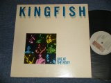 画像: KINGFISH (BOB WEIR of GRATEFUL DEAD) - LIVE AT THE ROXY (Ex+++/MINT-) / 1981 US AMERICA ORIGINAL Used LP 