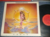 画像: MORNINGSTAR - VENUS (Ex++/MINT- B-1:Ex) / 1979 US AMERICA ORIGINAL Used LP 