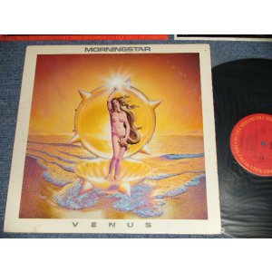 画像: MORNINGSTAR - VENUS (Ex++/MINT- B-1:Ex) / 1979 US AMERICA ORIGINAL Used LP 