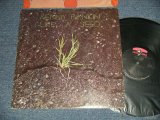 画像: KENNY RANKIN - LIKE A SEED (With INSERTS)  (Ex++/Ex++ Looks:Ex+++) / 1972 US AMERICA ORIGINAL Used LP