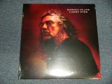 画像: ROBERT PLANT (LED ZEPPELIN) - CARRY FIRE (SEALED) / 2017 US AMERICA  ORIGINAL "180 gram Heavy Weight"  "BRAND NEW Sealed" 2-LP's