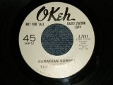 画像: The Vibrations - A)Canadian Sunset   B)The Story Of A Starry Night (MINT-/MINT-) 1966 US AMERICA ORIGINAL "WHITE LABEL PROMO" Used 7" 45 rpm Single  