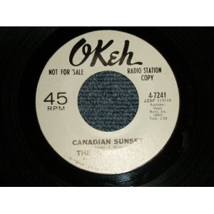画像: The Vibrations - A)Canadian Sunset   B)The Story Of A Starry Night (MINT-/MINT-) 1966 US AMERICA ORIGINAL "WHITE LABEL PROMO" Used 7" 45 rpm Single  