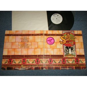 画像: STEELEYE SPAN - PARCEL OF ROGUES (Ex+/MINT- STMPOL) /1973 US AMERICA ORIGINAL "WHITE LABEL PROMO" Used LP 