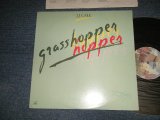 画像: J.J. CALE  J.J.CALE - GRASSHOPPER (Matrix #A)SRM-1-4038-A5HRM S-   B)SRM-1-4038-B5 HRM A-1)  "HALPPAUGE RECORD MANUFACTURING Press in NEW YORK" (Ex+++/MINT-) / 1982 US AMERICA ORIGINAL Used LP