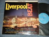 画像: v.a. Various OMNIBUS - LIVERPOOL BEAT (MINT-/Ex+++) / 1964 UK ENGLAND  US AMERICA ORIGINAL MONO Used LP 