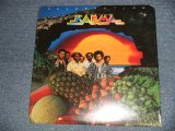 画像: KARMA - CELEBRATION (SEALED CutOut) / 1976 US AMERICA ORIGINAL "BRAND NEW SEALED" LP