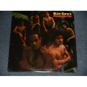 画像: KAY GEE'S / KAY-GEE'S - BUN ME UP (MINT-/MINT-) / 1979 US AMERICA ORIGINAL Used LP
