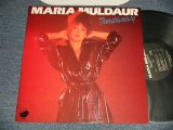画像: MARIA MULDAUR - TRANSBLUCENCY (MINT-/MINT)  / 1986 US AMERICA ORIGINAL Used LP