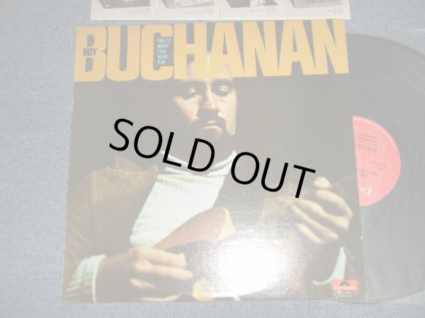 画像1: ROY BUCHANAN -  THAT'S WHAT I AM HERE FOR (MINT-/MINT-)   / 1973 US AMERICA ORIGINAL Used LP