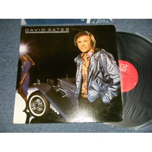 画像: DAVID GATES (of BREAD) - FALLING IN LOVE AGAIN (Ex+++/Ex+++) / 1980 US AMERICA ORIGINAL Used LP 