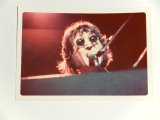 画像: JOHN LENNO (The BEATLES) - (Photo) "ONE TO ONE" CONCEET in MADISON SQUARE GARDEN Aug. 30th 1972 (Ex) 1972 US AMERICA Used PHOTOS