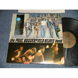 画像: THE PAUL BUTTERFIELD BLUES BAND - THE PAUL BUTTERFIELD BLUES BAND (Ex+++/MINT-) /196? CANADA ORIGINAL "Gold label with black E Label" STEREO Used  LP