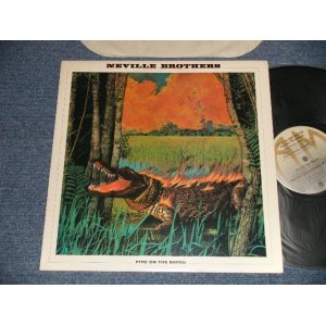 画像: NEVILLE BROTHERS - FIYO ON THE BAYOU (Ex+++/MINT-) / 1981 US AMERICA ORIGINAL Used LP