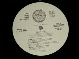 画像: BONNIE RAITT - THE NINE LIVES INTERVIEW (-/MINT)  / 1986 US AMERICA ORIGINAL "PROMO ONLY"Used 12" 