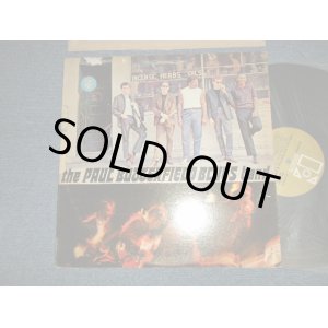 画像: THE PAUL BUTTERFIELD BLUES BAND - THE PAUL BUTTERFIELD BLUES BAND (Ex+/Ex++ EDSP) /1966 US AMERICA 2nd Press "GOLD Label" STEREO Used LP