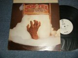 画像: JOE TEX - RUB DOWN (Ex++/MINT-) / 1978 US AMERICA ORIGINAL "WHITE LABEL PROMO" Used LP 