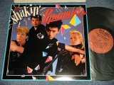 画像: SHAKIN' PYRAMIDS - SHAKIN' PYRAMIDS (Matrix #A)PAL-38958 1A  B)PBL-38958 1B)  (MINT-/Ex+++) / 1983 US AMERICA  ORIGINAL 1st Press "CUSTOM Label" Used LP 