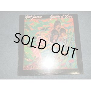 画像: RICK JAMES - GARDEN OF LOVE  (SEALED CutOut) / 1980 US AMERICA ORIGINAL "BRAND NEW SEALED" LP 
