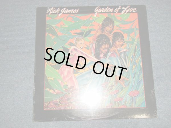 画像1: RICK JAMES - GARDEN OF LOVE  (SEALED CutOut) / 1980 US AMERICA ORIGINAL "BRAND NEW SEALED" LP 