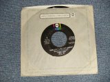 画像: STEELY DAN - A)RIKKI DON'T LOVE THAT NUMBER  B)ANY MAJOR DUDE WILL TELL YOU (MINT-/Ex+++) / 1974 US AMERICA ORIGINAL Used 7"Single  