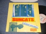 画像: SUNCATS - JAILHOUSE ROCKABILLY (MINT-/MINT-) / 1987 NETHERLANDS/ HOLLAND ORIGINAL Used LP 