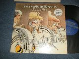 画像: OLYMPIC RUNNERS - HOT TO TROT (Ex+++/Ex+++) / 1977 US AMERICA ORIGINAL "PROMO" Used LP 