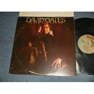 画像: DAVID GATES (BREAD) - NEVER LET HER GO (Ex+/MINT-) / 1975 US AMERICA ORIGINAL Used LP 