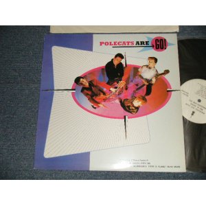 画像: PAULCATS - ARE GO (MINT-/MINT-) / EUROPE LIMITED  EDITION Used LP