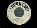 画像: THE ALLMAN BROTHERS BAND - REVIVAL (Love Is Everywhere) A)MONO  B)STEREO(Ex++/Ex++) / 1970 US AMERICA ORIGINAL "WHITE LABEL PROMO Copy"  Used 7" inch Single