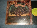 画像: STEELEYE SPAN - NOW WE ARE SIX (MINT-/Ex++ B-4:Ex) / 1974 US AMERICA ORIGINAL "GREEN Label" Used LP 