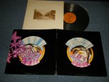 画像: FLEETWOOD MAC - PENGUIN ("SANTA MARIA Press in CA" ) (Ex/VG) / 1974 Version US AMERICA 2nd Press "BROWN without STEREO Logo Label" Used LP 