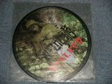 画像: The INDEPENDENTS - STALKER (NEW) / 1997 US AMERICA ORIGINAL "PICTURE DISC"  "BRAND NEW" 10" LP