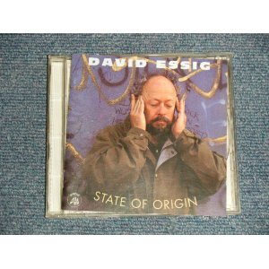 画像: DAVID ESSIG - STATE OF OTIGIN (MINT-/MINT) / 1993 ITALIA ITALY ORIGINAL Used CD