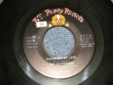 画像: The HAPPENINGS - A)GOODNIGHT MY LOVE  B)LILLIES BY MONET (Ex++/Ex++ STOL, BB) / 1966 US AMERICA ORIGINAL Used  7" 45 RPM, Single