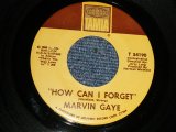 画像: Marvin Gaye - A)How Can I Forget   B)Gonna Give Her All The Love I've Got (Ex+++/Ex+++) /1966 US AMERICA ORIGINAL Used 7"45 