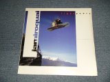 画像: JAMIROQUAI - LIGHT YEARS (SEALED) / 1996 US AMERICA  ORIGINAL "Brand New SEALED" 12"