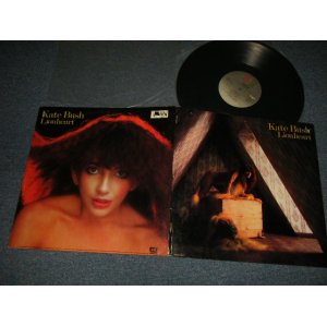 画像: KATE BUSH -  LION HEART (Ex++/Ex+++ BB for PROMO) / 1978 US AMERICA ORIGINAL "PROMO" Used LP