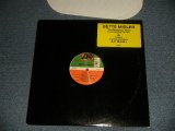 画像: BETTE MIDLER - TO DESERVE YOU(Ex++/Ex+++) / 1995 US AMERICA ORIGINAL Used 2-12"