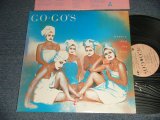 画像: GO-GO's - BEAUTY AND THE BEAT (BLUE COVER)  (With CUSTOM INNER SLEEVE) (Ex+++/Ex++)/ 1981 US AMERICA ORIGINAL "BLUE COVER" Used LP