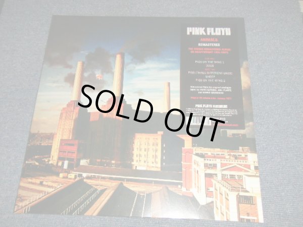 画像1: PINK FLOYD - ANIMALS (REMASTERED) (SEALED) / 2016 EUROPE REISSUE "180 Gram" "BRAND NEW SEALED" LP