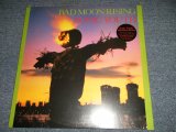 画像: SONIC YOUTH - BAD MOON RISING (SEALED) / 2015 US AMERICA REISSUE "REMASTERED" "BRAND NEW SEALED" LP