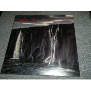 画像: PEARL JAM - GIGATON (SEALED) /2020 GERMANY ORIGINAL "180 Gram" "BRAND NEW Self-SEALED" 3 SIDED 2-LP