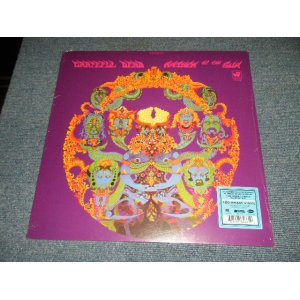 画像: GRATEFUL DEAD - ANTHEM OF THE SUN (REMASTEREED) (SEALED) / 2020 US AMERICA & EUROPE REISSUE "180 Gram" "BRAND NEW SEALED" LP