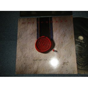 画像: WHITESNAKE - SLIP OF THE TONGUE (With CUSTOM INNER SLEEVE)  (MINT-/MINT-) / 1989 US AMERICA ORIGINAL Used LP 