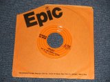 画像: SLY & The FAMILY STONE - A)RISKY  B)IF IT WERE LEFT UP TO ME(Ex+++/Ex+++ DMG LBL)  / 1973 US AMERICA ORIGINAL Used 7" Single 